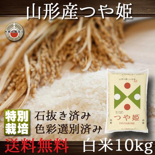 新米 つや姫 山形県産 白米 10kg 特別栽培 送料無料 （一部地域除く）