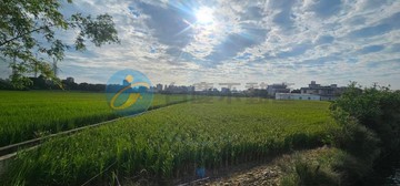 頭前溪美農地｜新竹縣竹北市豐田段