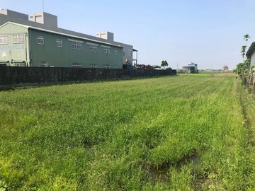 白河區省道工業用土地 近台積電廠區 胖先生｜台南市白河區新興段