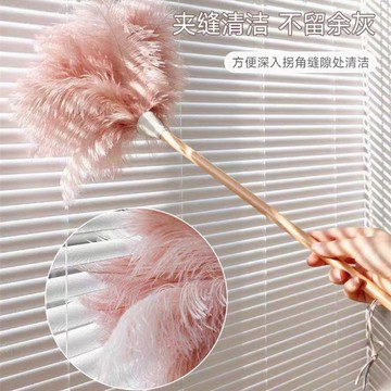 ✨臺灣出貨✨真鴕鳥毛撣子鋼琴清潔不掉毛高檔除塵掃密絨家用雞毛撣子除塵家用