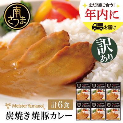 ふるさと納税 南さつま市 山野井の炭焼き焼豚カレー(レトルト)180g×6個