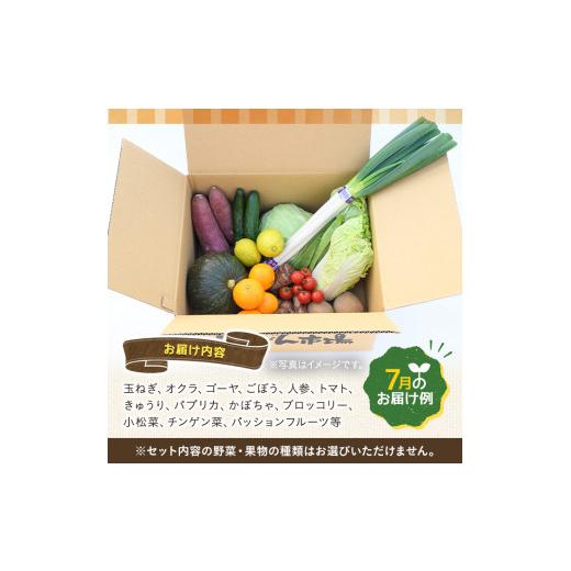 ふるさと納税 鹿児島県 長島町 おいどん市場セレクト 旬の野菜・果物セット！ keizai-913