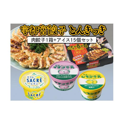 ふるさと納税 栃木県 宇都宮市 とんきっき肉餃子1箱 アイス15個セット※着日指定不可