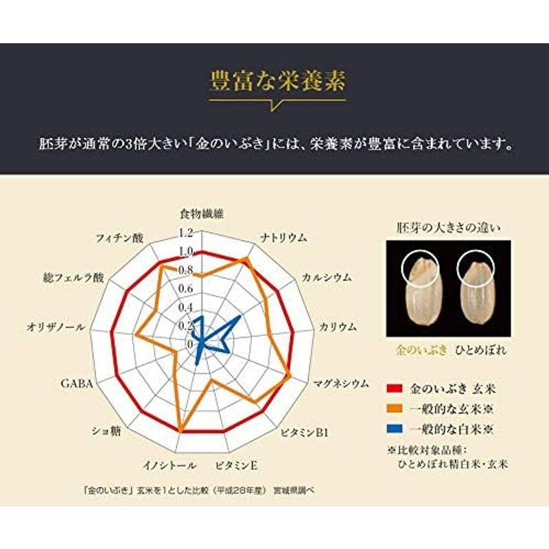 玄米 宮城県産 金のいぶき 2kg 令和4年産