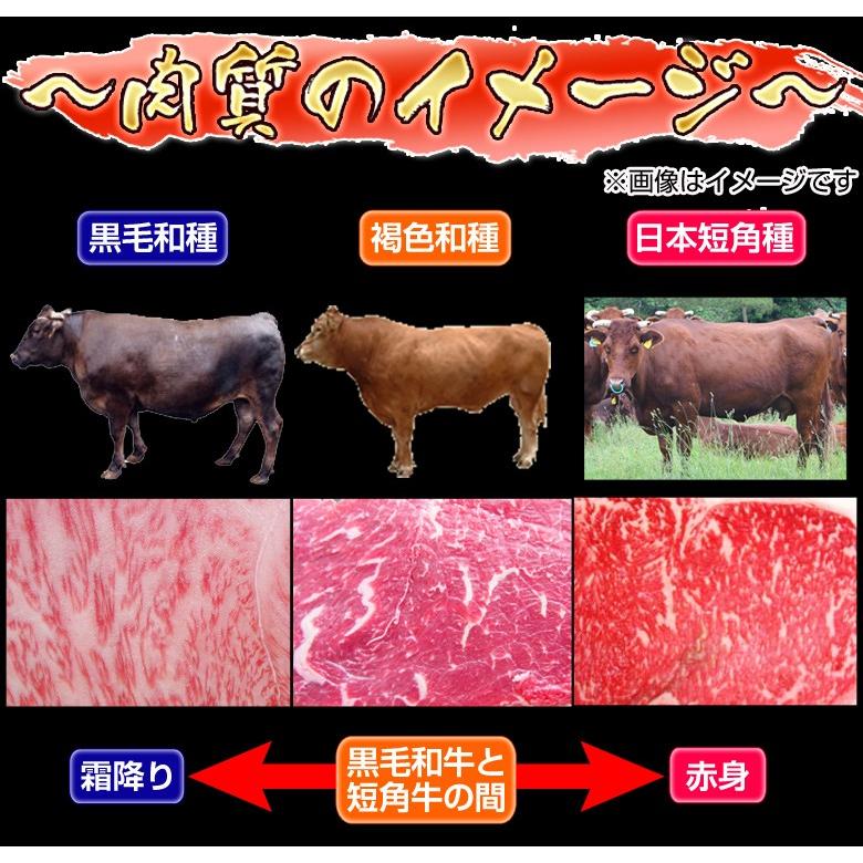 お中元 御中元 ギフト 肉 山長ミートさん いわて短角牛 焼肉用 肩肉 400g前後 岩手県 冷凍 送料無料