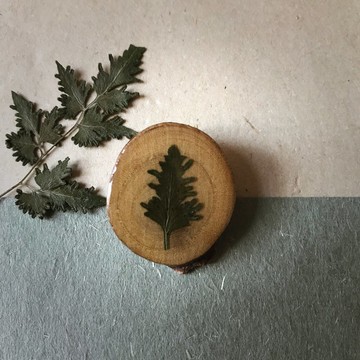 乾花滴膠別針/胸針