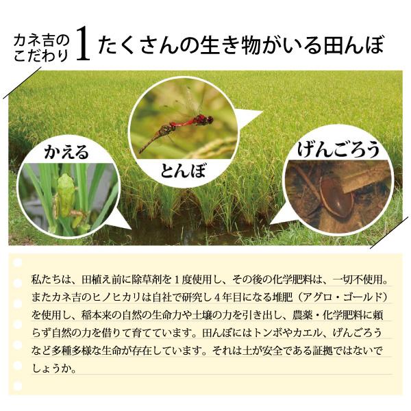 令和5年宮崎県産ヒノヒカリ9kg（4.5kg×2袋）／単一原料米