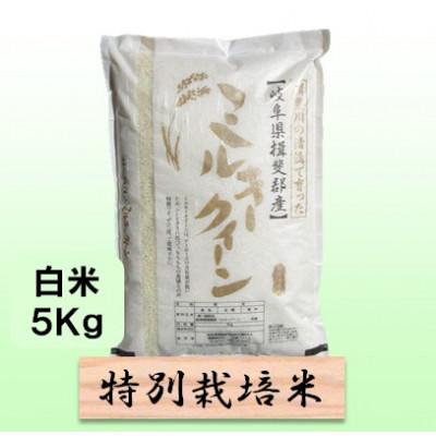 ふるさと納税 池田町 特別栽培米 5kg(ミルキークイーン)