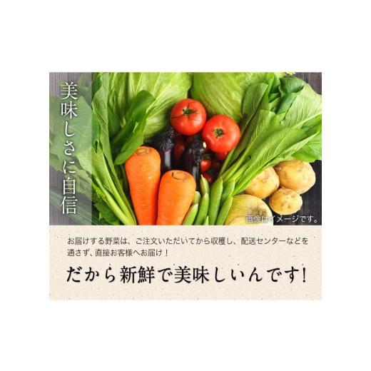 ふるさと納税 熊本県 御船町 旬の新鮮野菜たっぷり16品セット《30日以内に順次出荷(土日祝除く)》★御船町産を中心とした旬の野菜セット 冷蔵 詰め合わせ 季節…