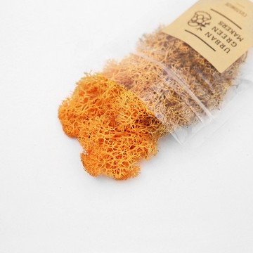 馴鹿最喜歡的植物 - Moss 馴鹿苔 / 橘色