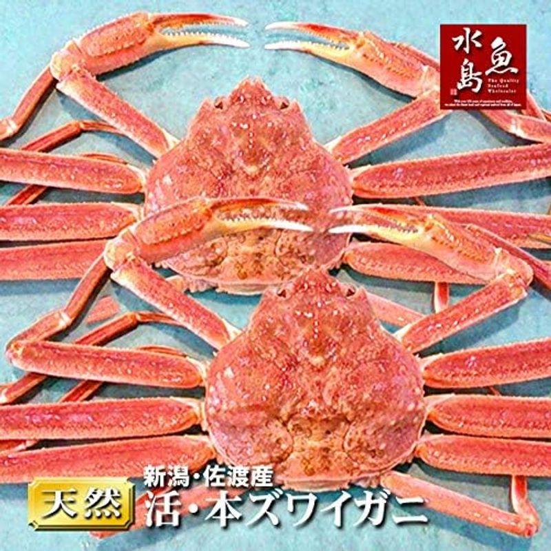 魚水島 活ズワイガニ姿 新潟・佐渡産「活 本ズワイガニ」（生 本ずわい蟹）400g以上 2杯