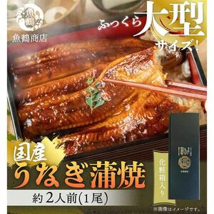 大型サイズ ふっくら柔らか 国産うなぎ蒲焼き 1尾（約2人前）化粧箱入