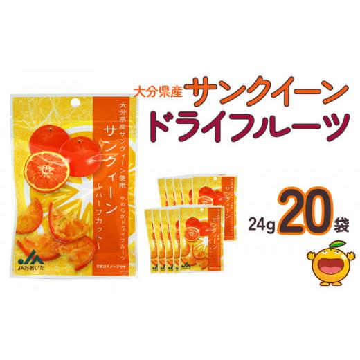 ふるさと納税 大分県 津久見市 サンクイーンドライフルーツ 24g×20袋 熨斗対応 ドライフルーツ 柑橘系 オレンジ ミカン ドライオレンジ みかん 大分県産 九州…