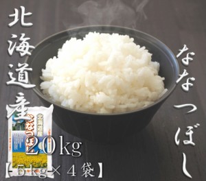 米 お米 令和5年産 北海道 ななつぼし 5kg×4袋 合計 20kg