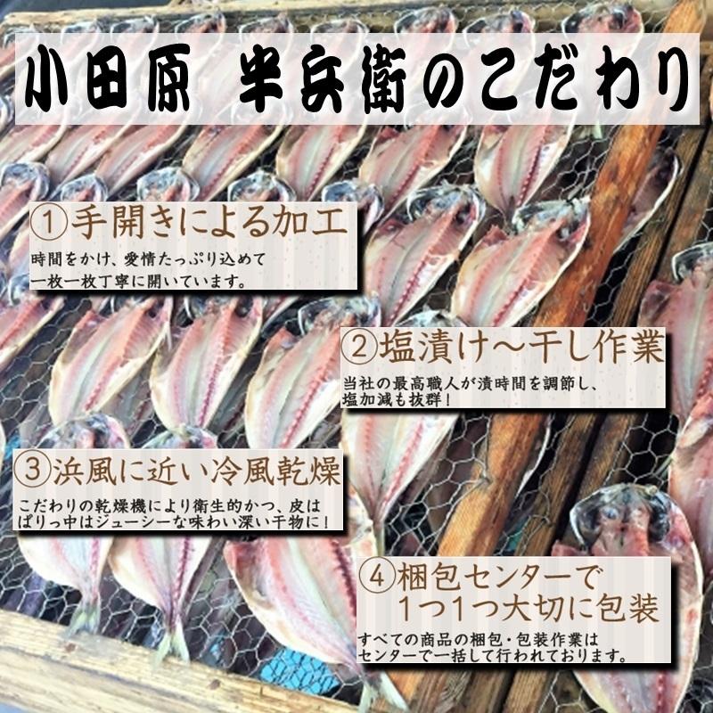 真あじ干物 大10枚 (1枚当たり約120g)  小田原加工、脂あります 