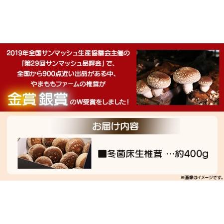 ふるさと納税 やまももファーム椎茸 冬菌はちきん生椎茸(菌床)約400g  しいたけ きのこ キノコ 野菜 国産 yo-0010 高知県香南市