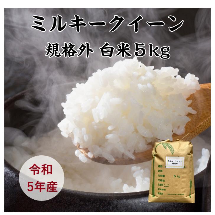 米 5kg「ミルキークイーン規格外 白米 5kg」送料無料 令和5年産