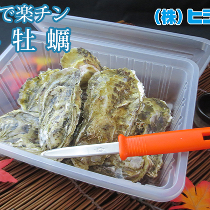 レンジで楽チン 蒸し牡蠣（2パックセット） 北海道 牡蠣 カキ かき 生食 生食用 生牡蠣 殻付  レンジ調理