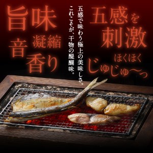 玄界灘の贅沢干物6種セット