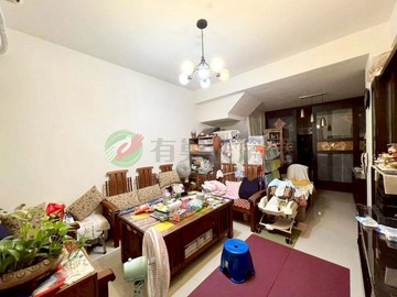 新光田臨路別墅｜住店兩相宜｜台中市沙鹿區保安路