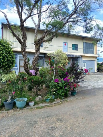 旗山寧靜度假農莊｜高雄市旗山區大林段