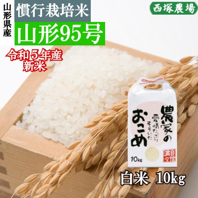 慣行栽培米 山形95号　岩魚米 （令和5年産）白米 10kg