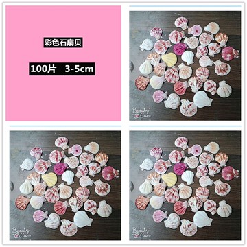 簡約耐用男女孩玩具兒童女士夏季小海螺海洋裝飾沙灘擺件貝殼diy