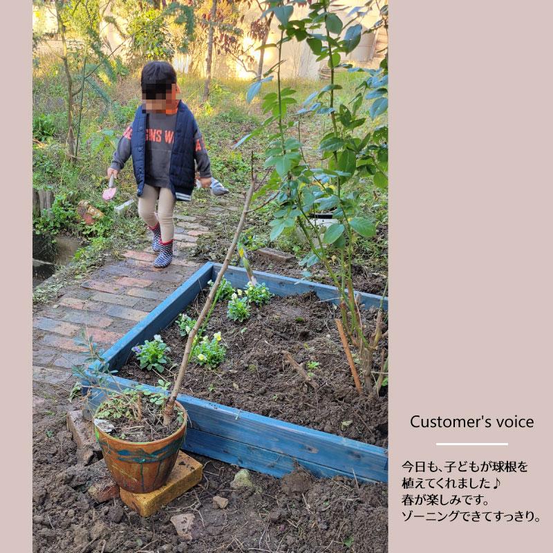 レイズドベッド用オプション diy 開閉可能 ビニールハウス 花壇 プランターボックス 温室 A-Cedar Raised bed Green houseのみ 木製 秋田杉 無塗装