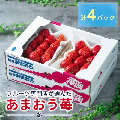 ふるさと納税 大野城市 フルーツ専門店が選んだ「あまおう苺」冬4パック(大野城市)