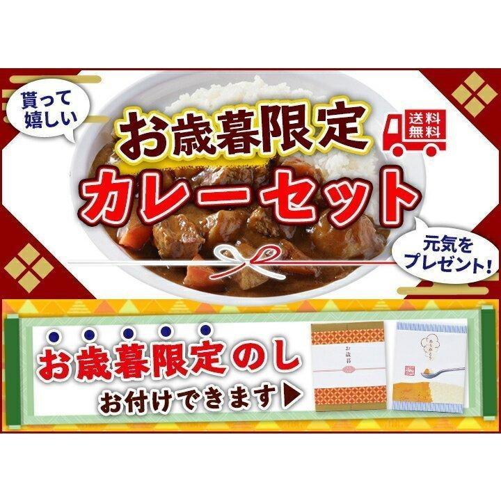 お歳暮カレーセット バラエティご当地カレーセット 御歳暮 ギフト レトルトカレー 詰合せ