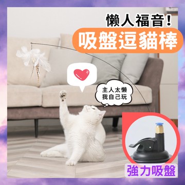 吸盤逗貓棒｜現貨｜懶人逗貓棒｜自動逗貓棒｜鋼絲逗貓棒｜解放雙手｜貓咪自嗨｜羽毛逗貓棒｜貓玩具｜逗貓神器｜強力吸盤