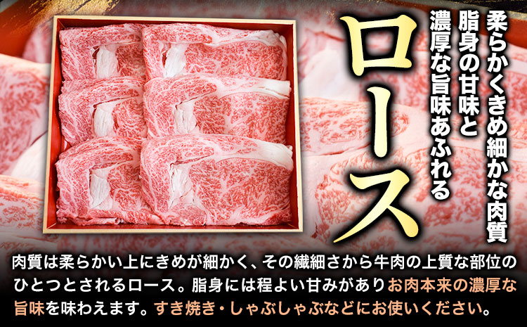 熊野牛 すき焼き しゃぶしゃぶ ローススライス 500g 粉山椒付き 澤株式会社(Meat Factory)《60日以内に出荷予定(土日祝除く)》和歌山県 日高町 送料無料 牛肉 肉 ロース スライス---wsh_fswkkssr_90d_22_29000_500g---