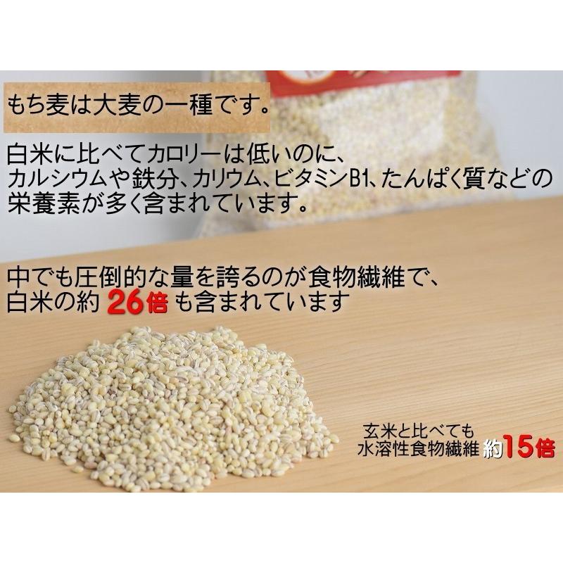 もち麦 国産 送料無料  はねうまもち 農薬不使用 青森県産 900g つがるもち麦 美仁 びじん スーパーフード βグルカン ダイエット 水溶性食物繊維 もち麦ごはん