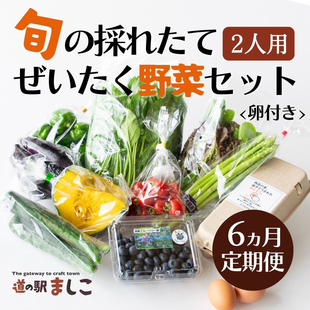 AA003 ＜6か月定期便＞旬の採れたてぜいたく野菜セット（卵付き）定期便 6カ月 2人用　野菜 やさい セット 旬 採れたて 卵 2人用 2人前 贅沢 ぜいたく 10個入り1パック