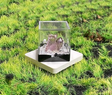 雙晶共生 伴生晶柱超七原石╳冰透白水晶淨化石套組  招財 智慧