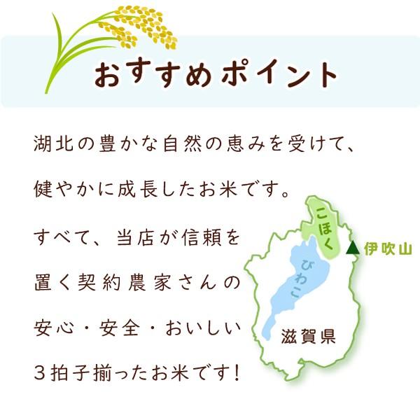 令和５年 滋賀県湖北産 湖北のコシヒカリ 30kg 