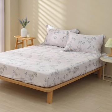 雙人床包枕套組/ 天絲300織 / 天絲 萊賽爾 / 梓丹 [鴻宇] 台灣製 - T20193