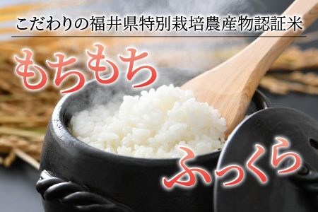 《定期便12回》 特別栽培米 ミルキークイーン 精米 5kg (計60kg)  農薬不使用 化学肥料不使用 ／ 高品質 鮮度抜群 福井県産 ブランド米 白米 あわら産 ブランド米