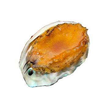 RealShop 岩見鮑魚(1kg/約24顆)