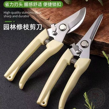 🏅買家好評🏅剪樹枝剪刀專用花剪園藝園林修枝園丁剪嫁接強力採摘省力修水果樹