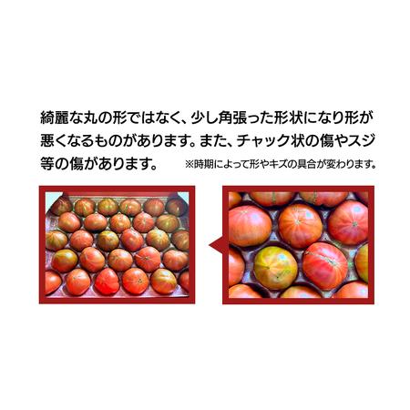 ふるさと納税 《訳あり》 フルーツトマト 大箱 約2.6kg（20〜35玉）×1箱  糖度7度以上 トマト とまと 野菜 [BC04.. 茨城県桜川市