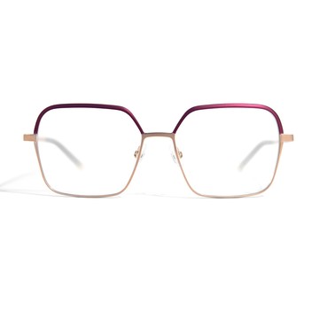 Gotti 【Gtti】瑞士Gtti Switzerland 雙色輕質方框平光眼鏡(- LIVI)