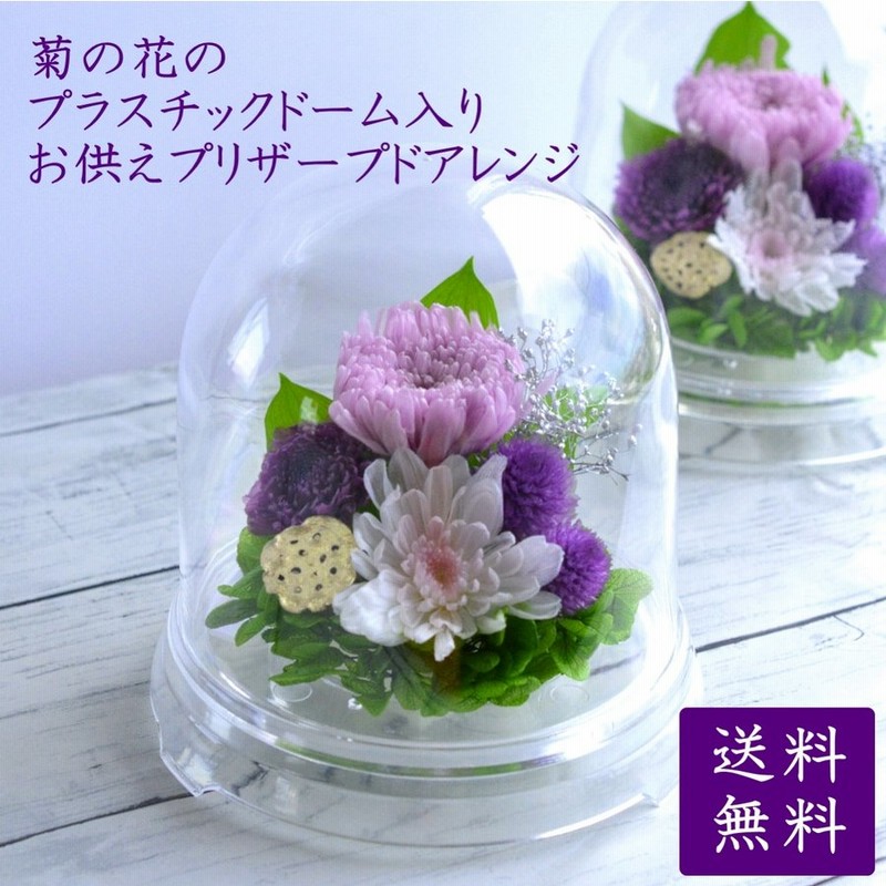 仏花 プリザーブドフラワー ミニ仏壇用 初盆 新盆 お供え 花 線香 枯れない花 供花 お悔やみ 菊 アレンジメント ミニサイズ 輪菊プラスチックドーム仏花 通販 Lineポイント最大0 5 Get Lineショッピング