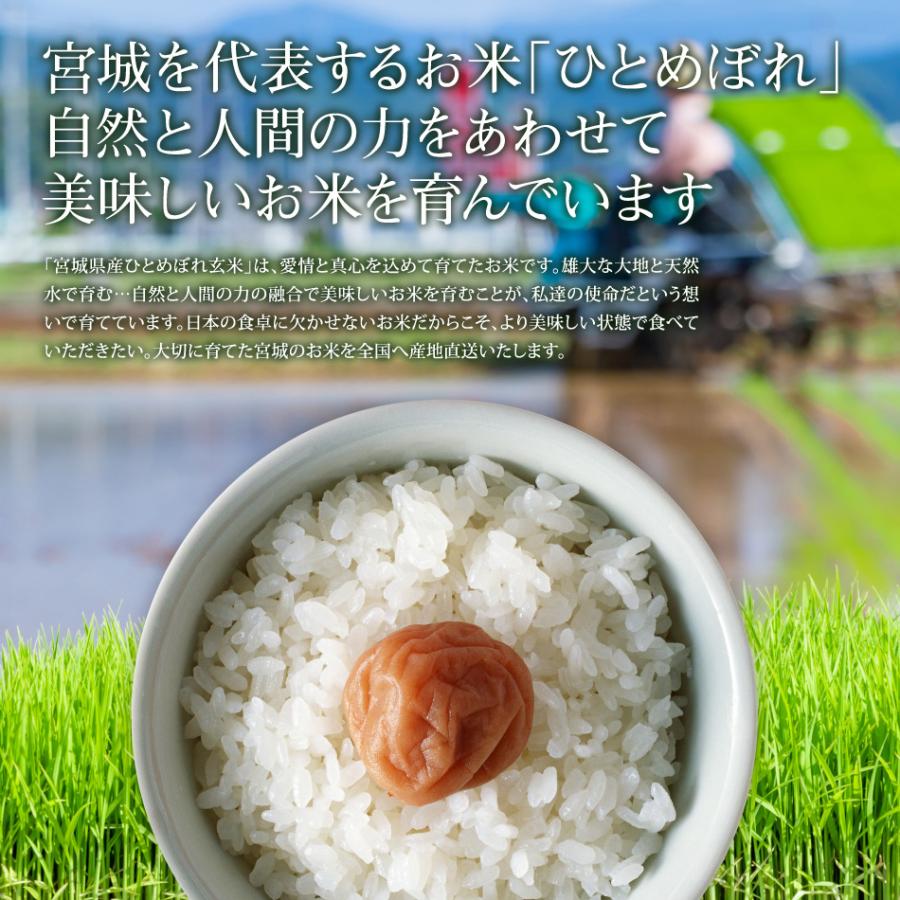 新米 玄米 3kg ひとめぼれ 宮城県産 米 お米 令和5年産 お試し 少量 送料無料