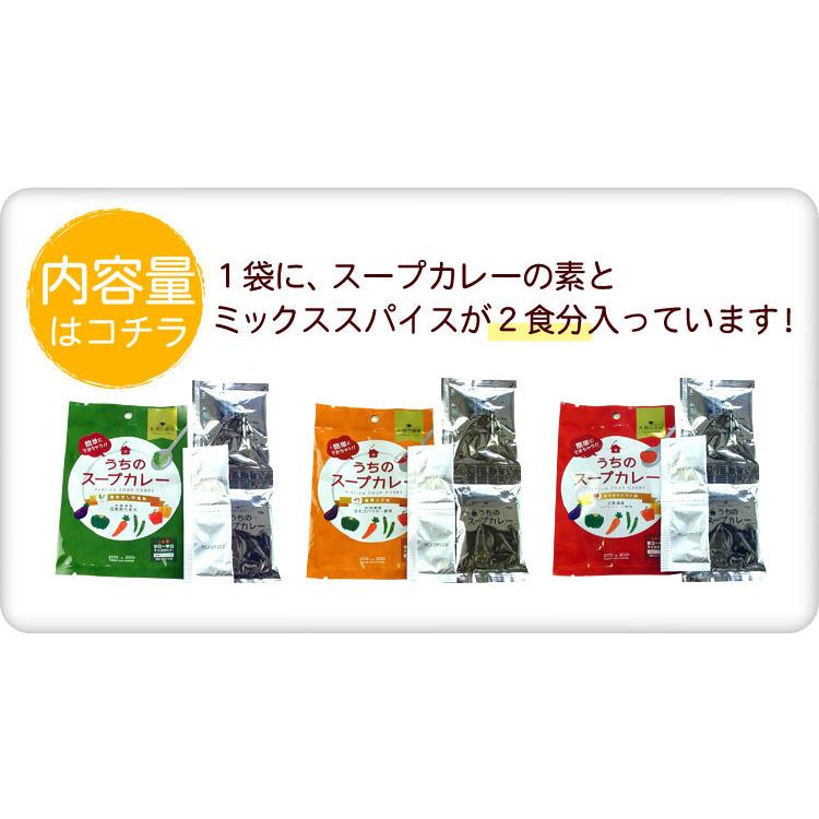 メール便 送料無料 札幌の食卓 うちのスープカレー（昆布だし和風）３袋（６食入）MIXスパイス付き（代引不可・着日指定不可・同梱不可）