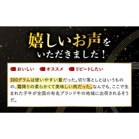 ふるさと納税 長崎和牛 切り落とし 600g (300g×2) 回[DBL022]  長崎 小値賀 牛 牛肉 黒毛和.. 長崎県小値賀町