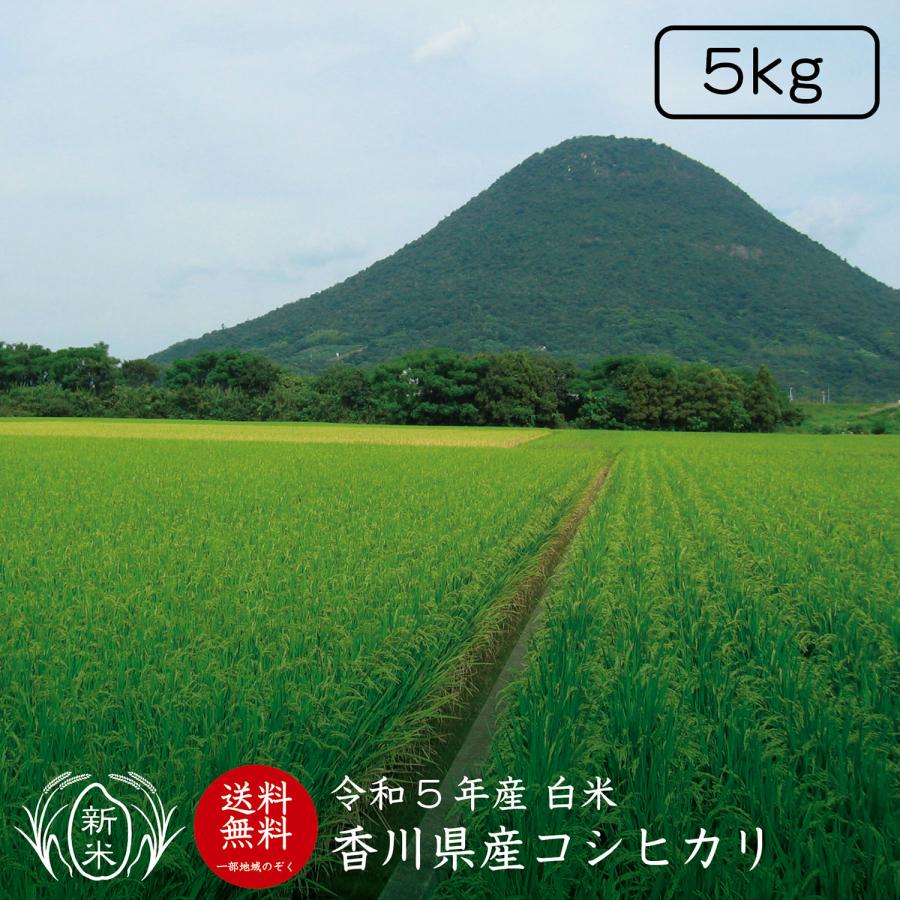 香川県産ヒノヒカリ白米5kg 