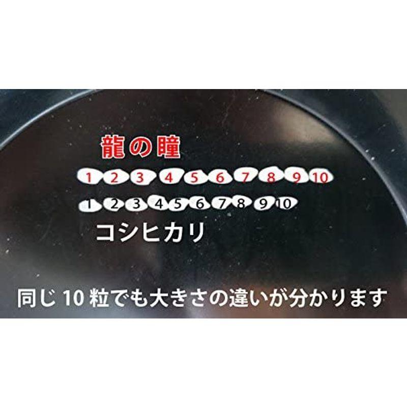 精米岐阜県産 龍の瞳 2ｋｇ