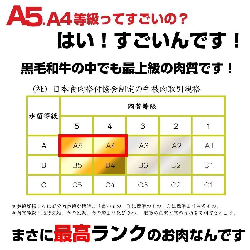 牛肉 肉 食品 黒毛和牛 A4,5等級 とろける ロース 焼肉 5kg （250g×20）今だけタレ付き お歳暮 ギフト グルメ