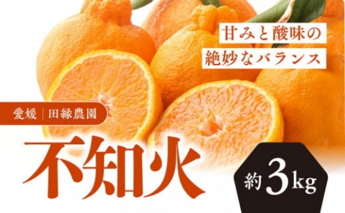 田縁農園の不知火（しらぬい）3kg※着日指定不可※離島への配送不可※2024年2月上旬～3月上旬頃に順次発送予定